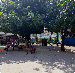 Parque externo arborizado da Educação Infantil